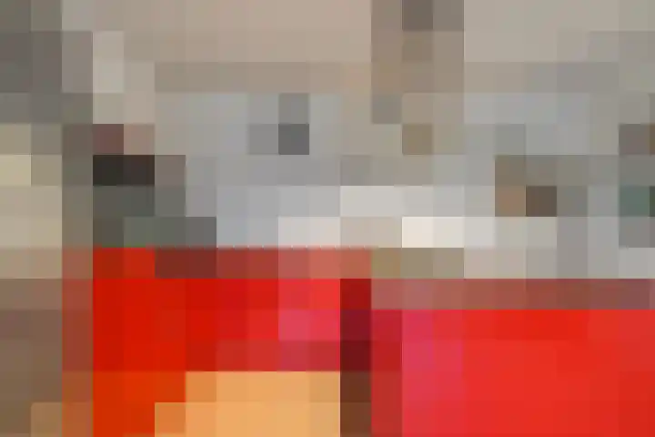 Touwslagersgang 2 Leiden thumbnail 12