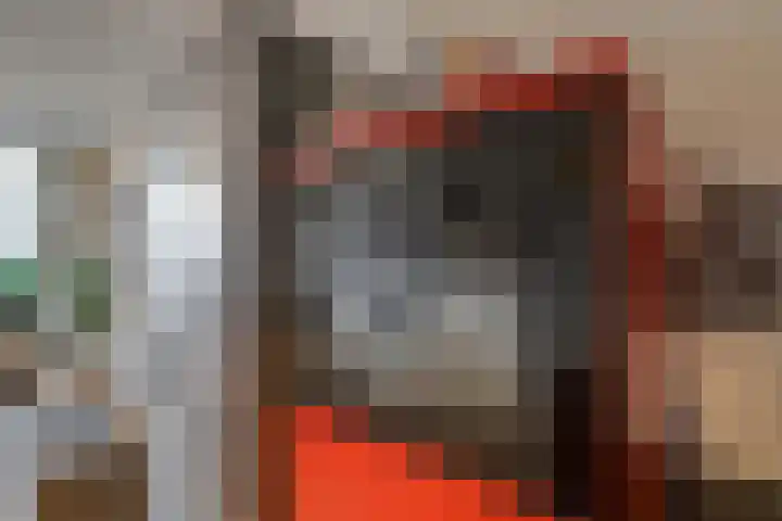 Touwslagersgang 2 Leiden thumbnail 14