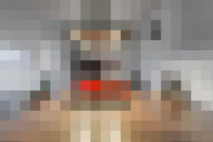 Touwslagersgang 2 Leiden thumbnail 15