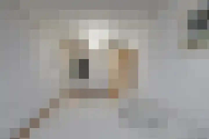 Touwslagersgang 2 Leiden thumbnail 22
