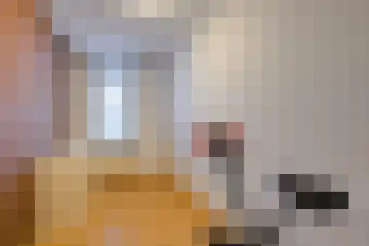 Touwslagersgang 2 Leiden thumbnail 25
