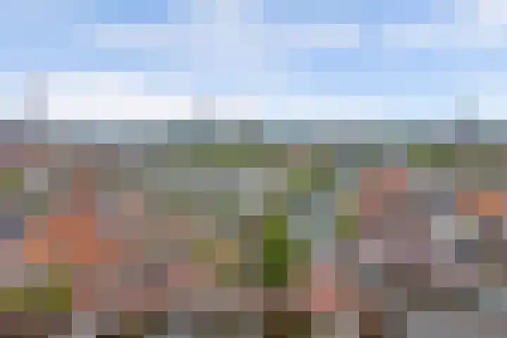 Touwslagersgang 2 Leiden thumbnail 30