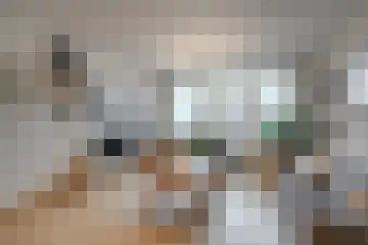 Touwslagersgang 2 Leiden thumbnail 8