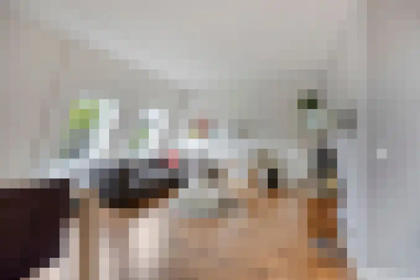 Touwslagersgroes 3 Gennep thumbnail 15