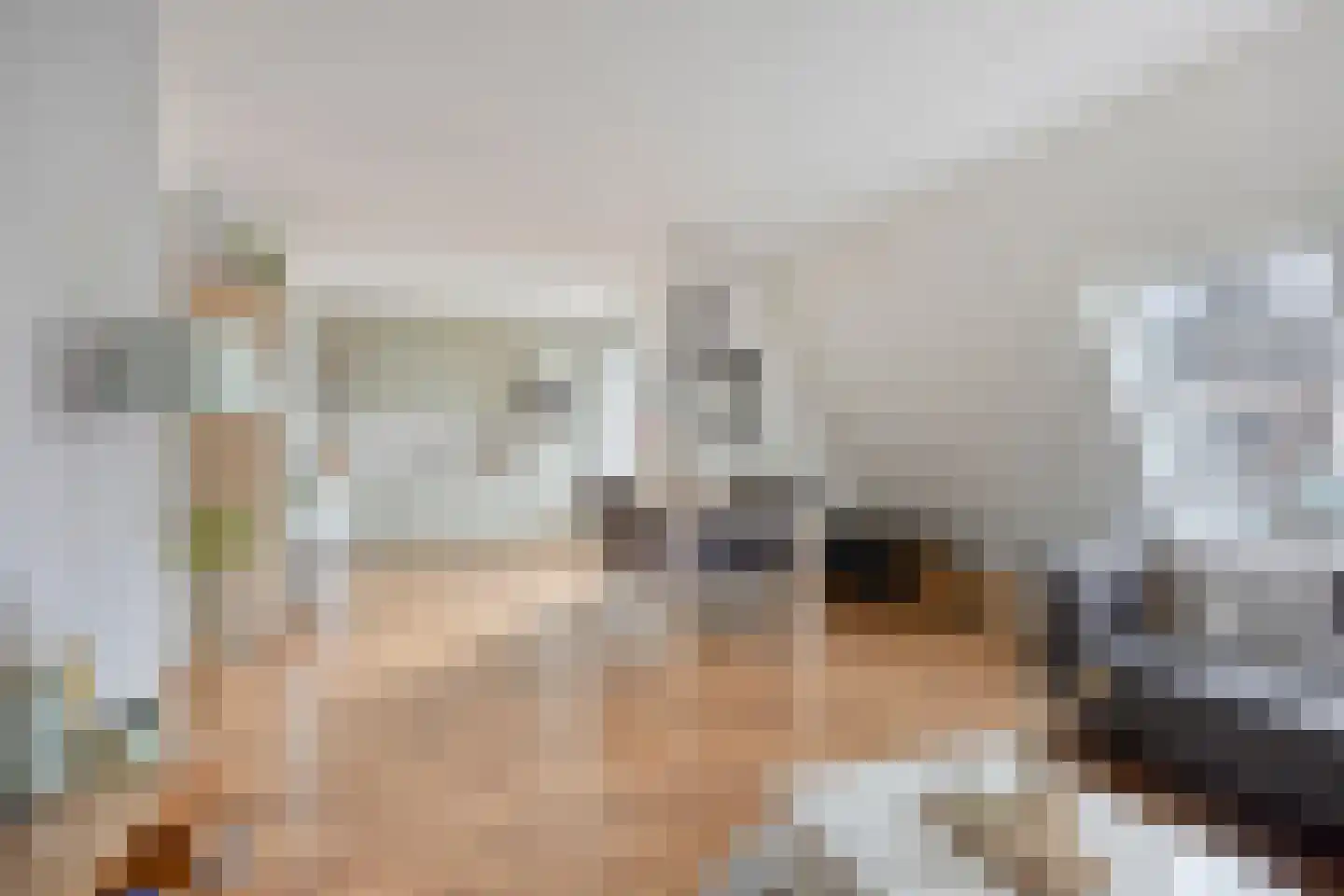 Touwslagersgroes 3 Gennep thumbnail 17