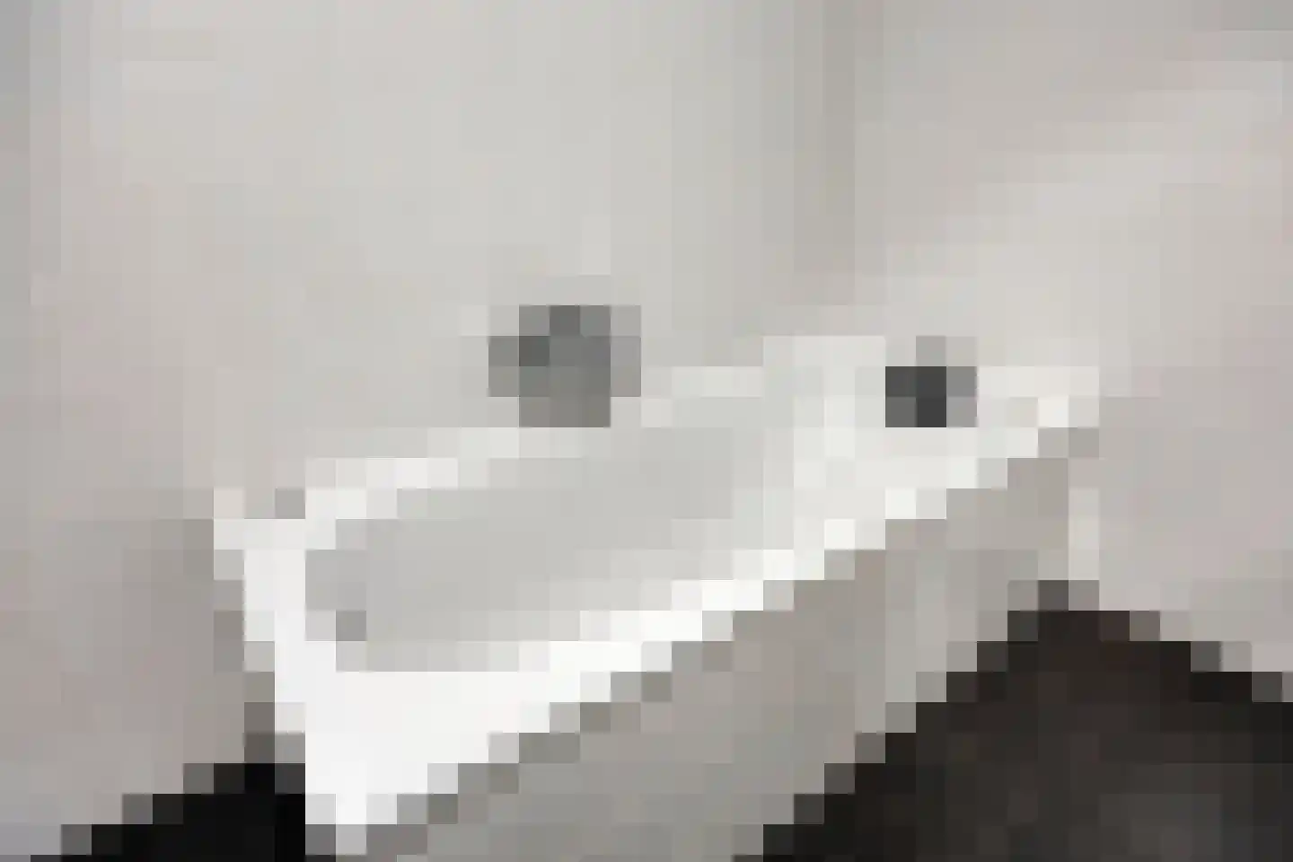 Touwslagersgroes 3 Gennep thumbnail 36