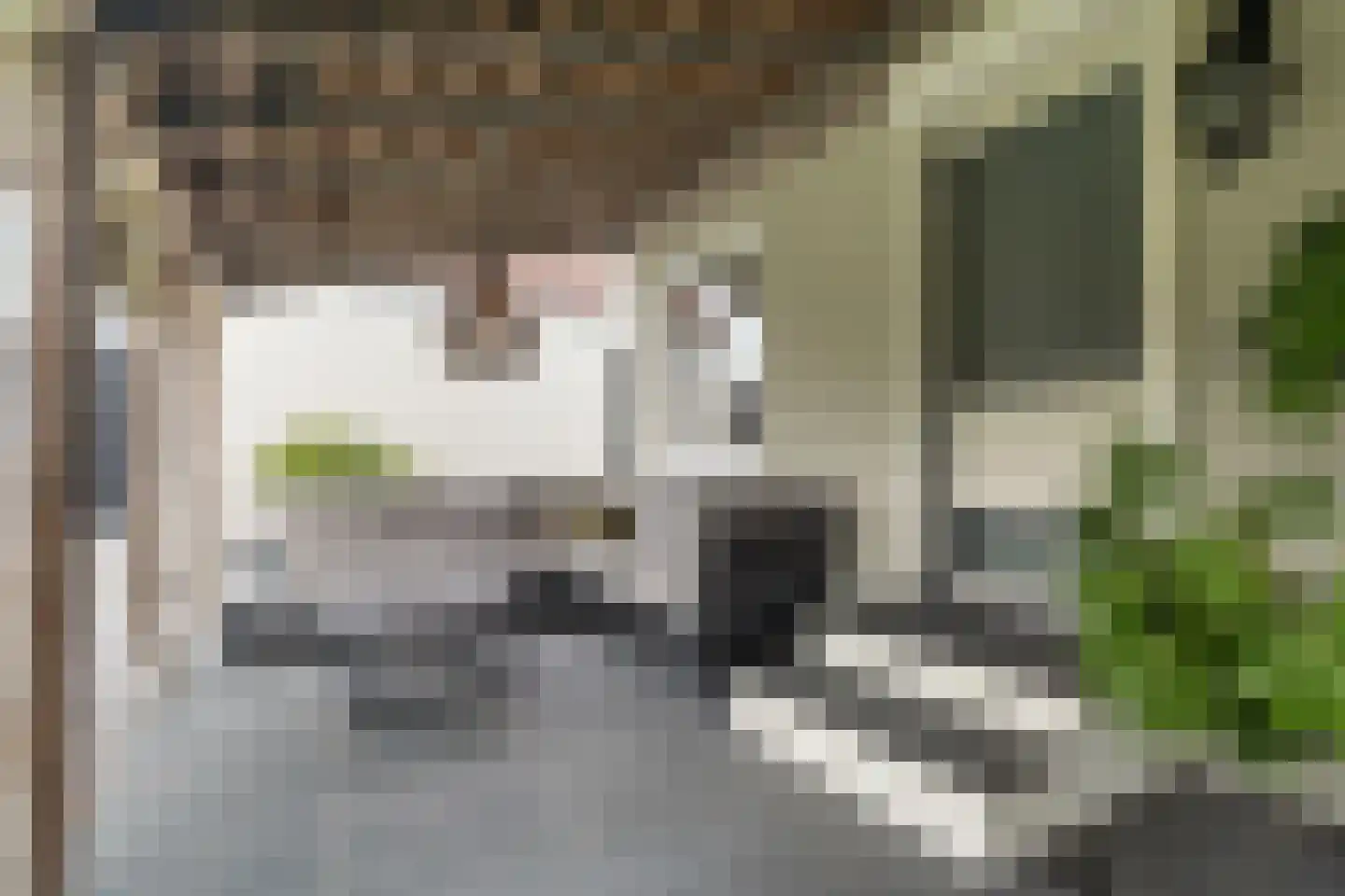 Touwslagersgroes 34 Gennep thumbnail 34