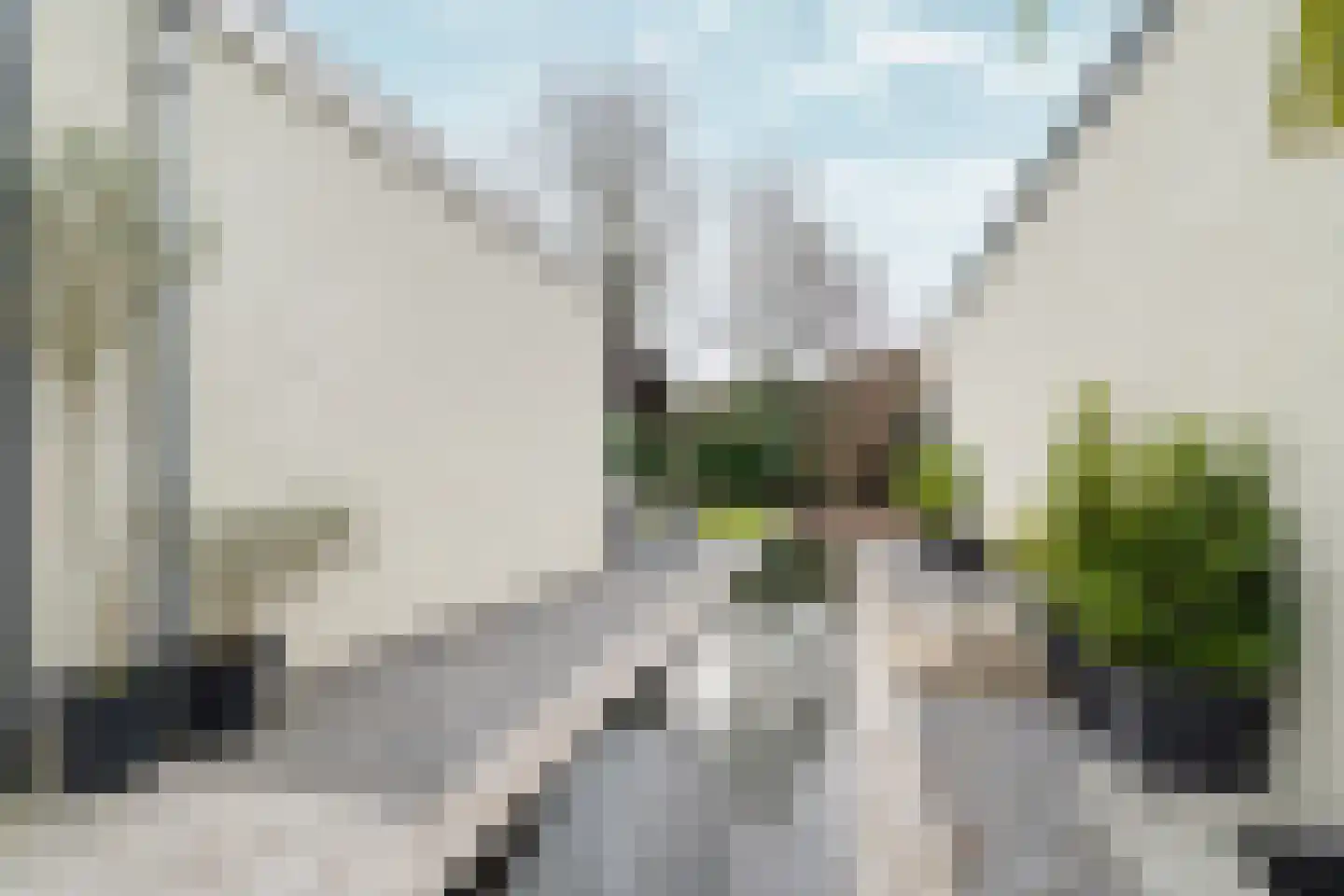 Touwslagersgroes 34 Gennep thumbnail 37