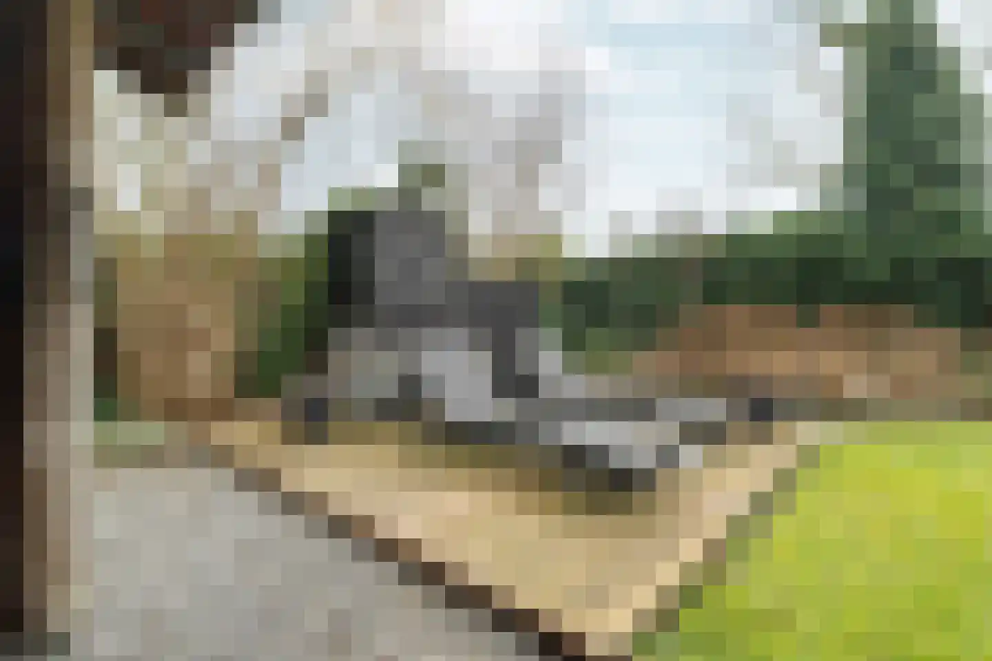Touwslagersgroes 34 Gennep thumbnail 38