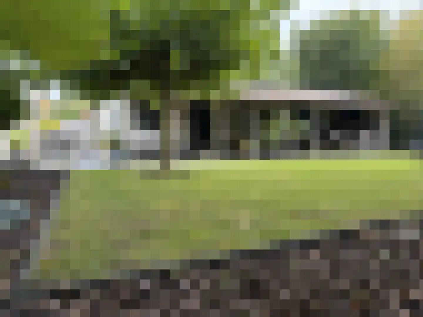 Touwslagersgroes 34 Gennep thumbnail 41