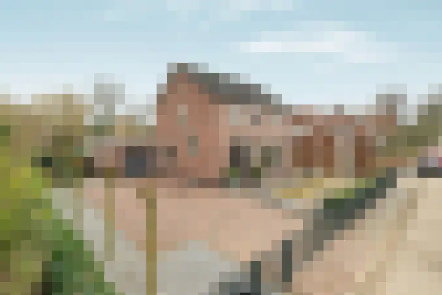 Touwslagersgroes 34 Gennep thumbnail 8