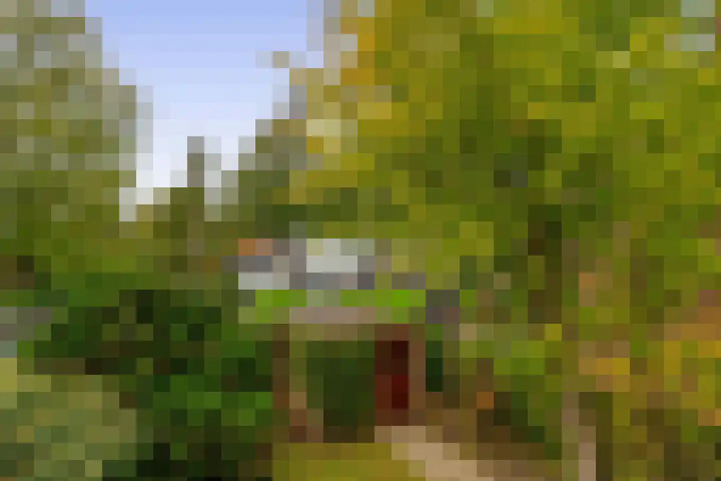 Touwslagershof 15 Hendrik-Ido-Ambacht thumbnail 15