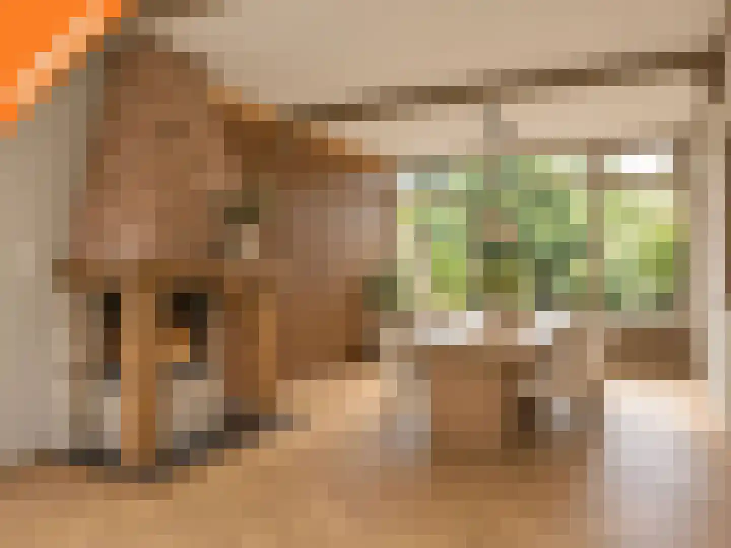Touwslagershof 15 Hendrik-Ido-Ambacht thumbnail 8