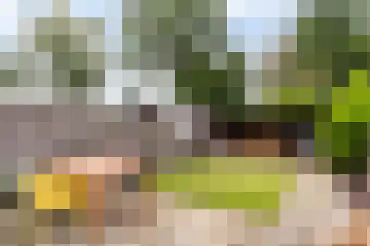 Touwslagershorst 105 Apeldoorn thumbnail 15