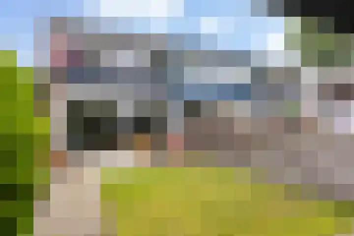 Touwslagershorst 105 Apeldoorn thumbnail 16