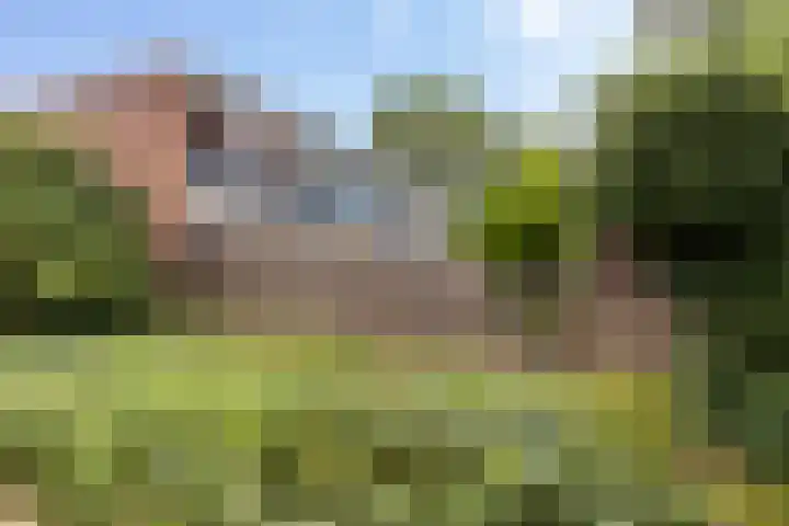Touwslagershorst 105 Apeldoorn thumbnail 19