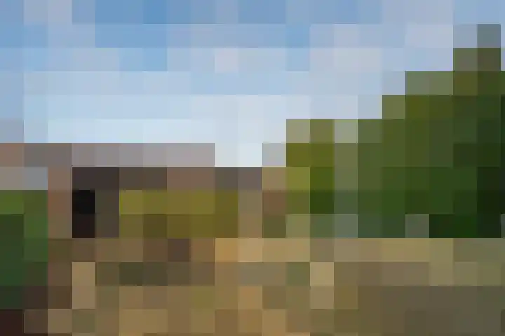 Touwslagerspad 12 Tegelen thumbnail 21