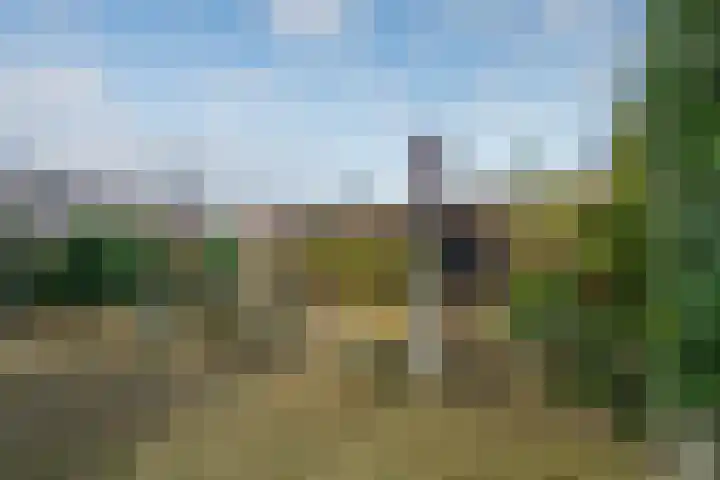 Touwslagerspad 12 Tegelen thumbnail 4