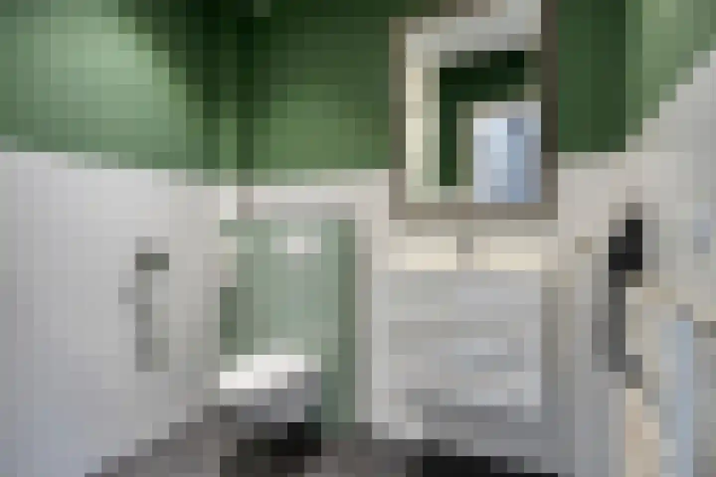 Touwslagerssteeg 2 Alkmaar thumbnail 12