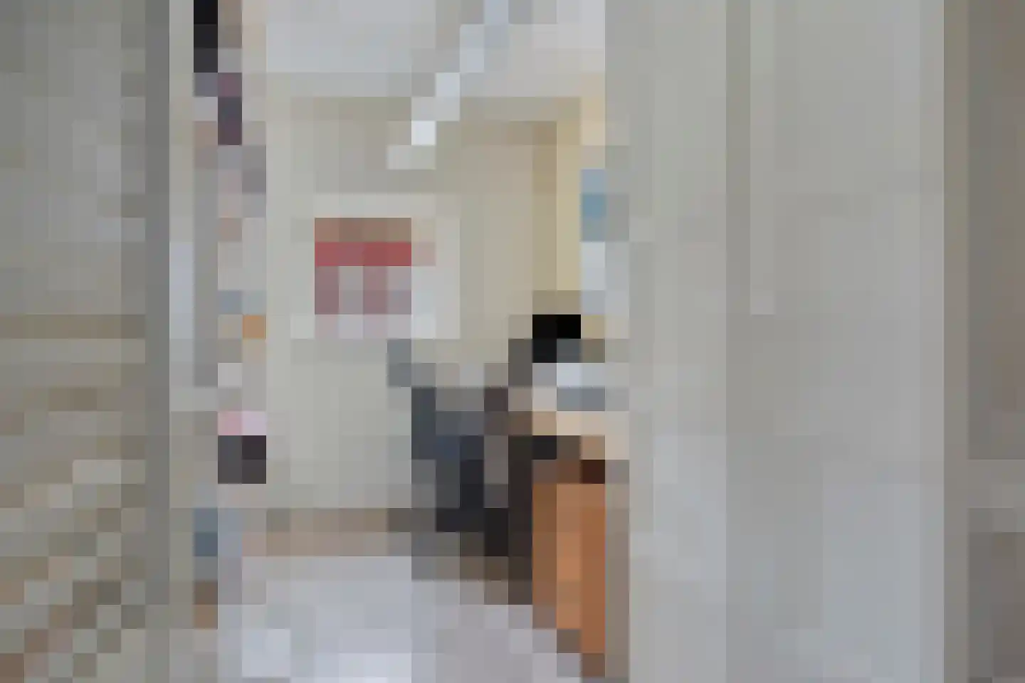 Touwslagerssteeg 2 Alkmaar thumbnail 14