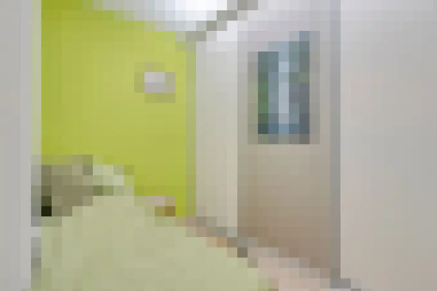 Touwslagerssteeg 2 Alkmaar thumbnail 16