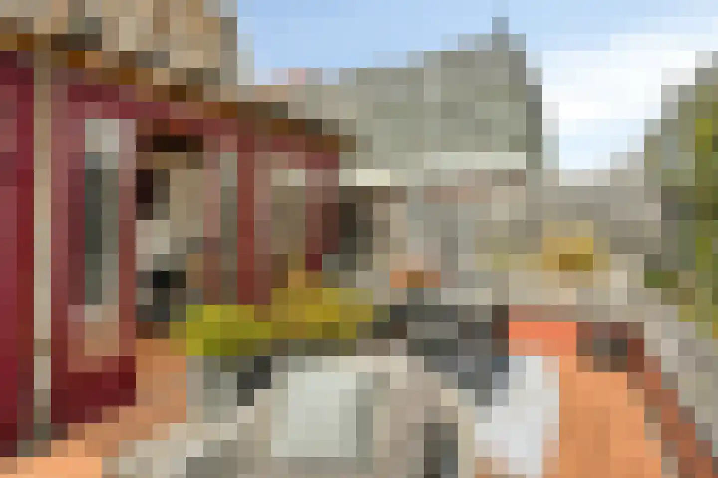 Touwslagerssteeg 2 Alkmaar thumbnail 18
