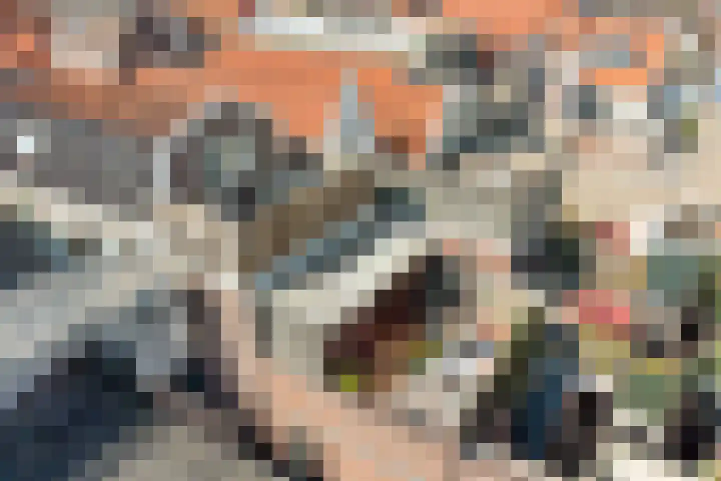 Touwslagerssteeg 2 Alkmaar thumbnail 22