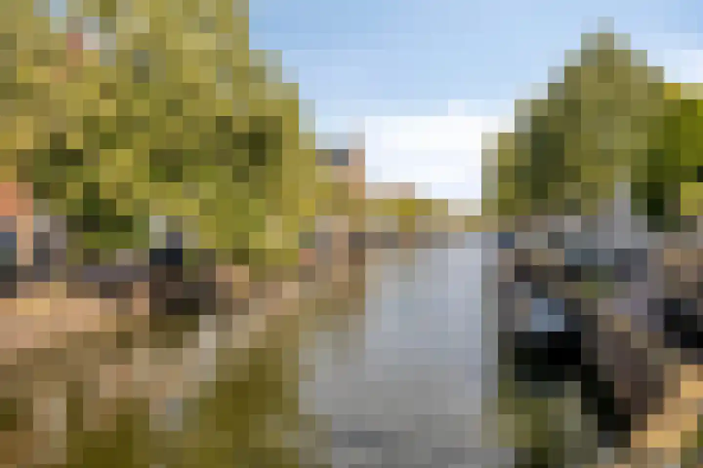 Touwslagerssteeg 2 Alkmaar thumbnail 31