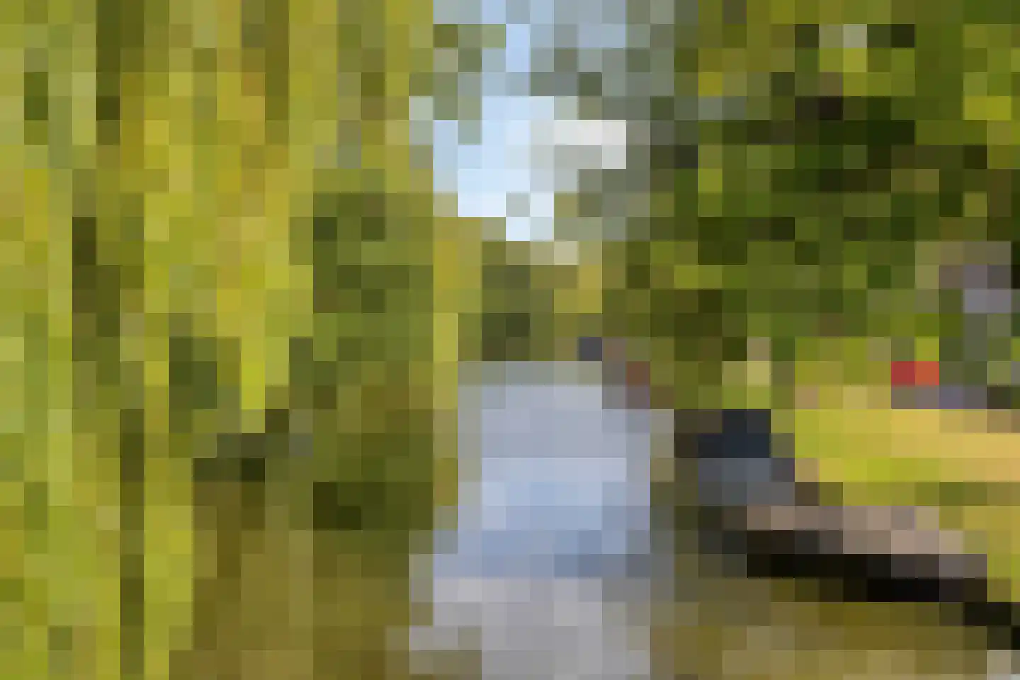 Touwslagerssteeg 2 Alkmaar thumbnail 33
