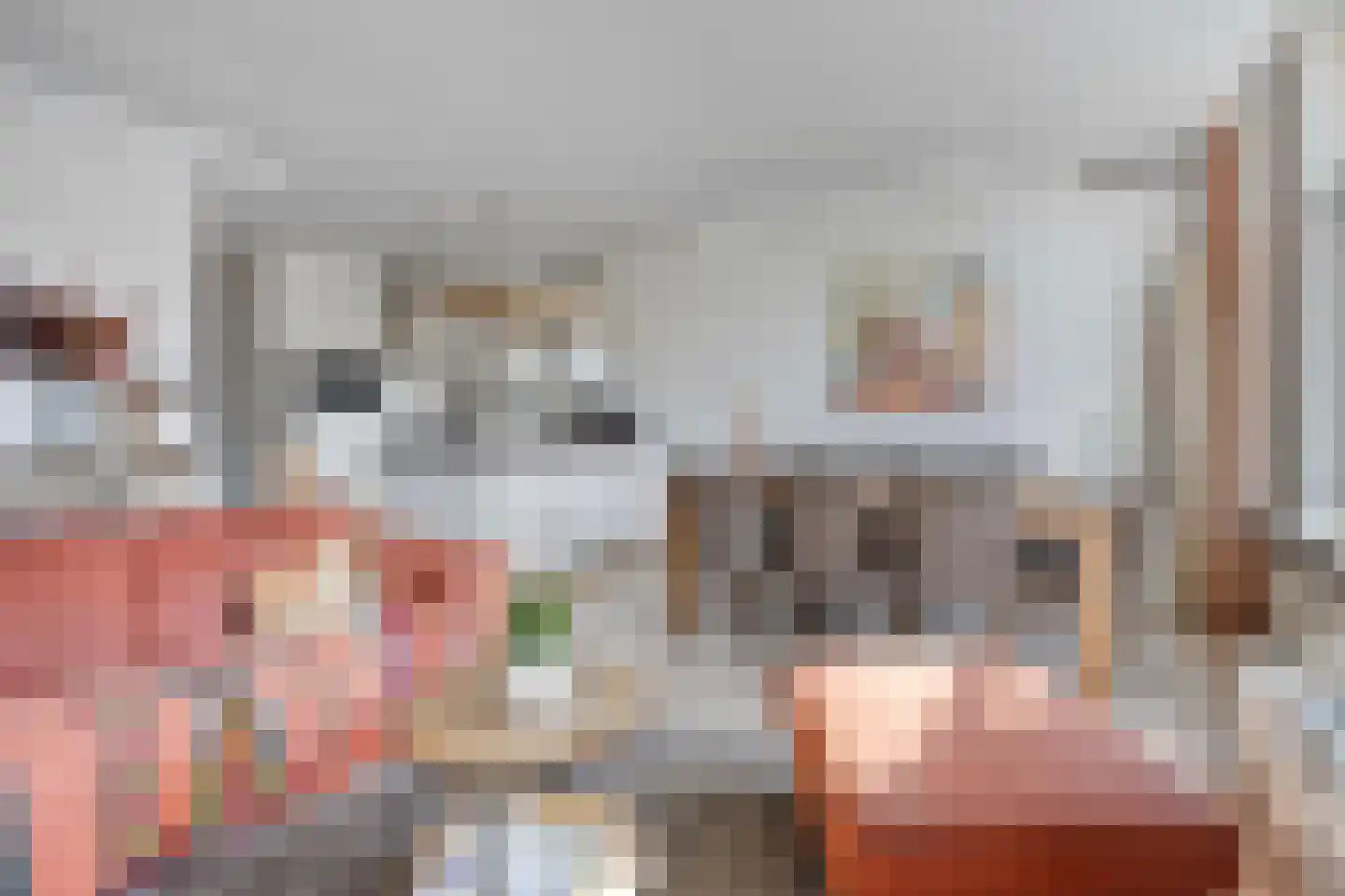 Touwslagerssteeg 2 Alkmaar thumbnail 6