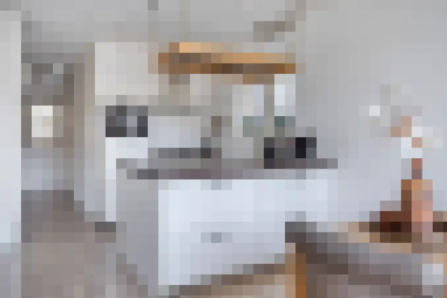 Touwslagerssteeg 2 Alkmaar thumbnail 7