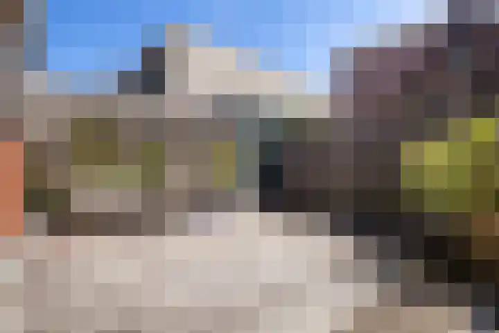 Touwslagerssteeg 6 Alkmaar thumbnail 12