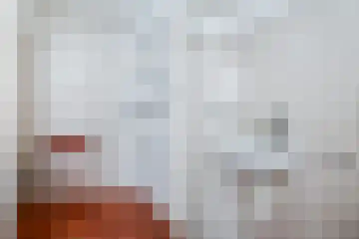 Touwslagerssteeg 6 Alkmaar thumbnail 18