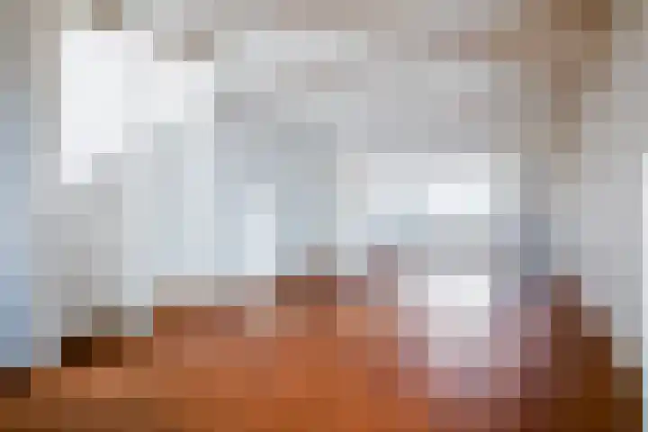 Touwslagerssteeg 6 Alkmaar thumbnail 19