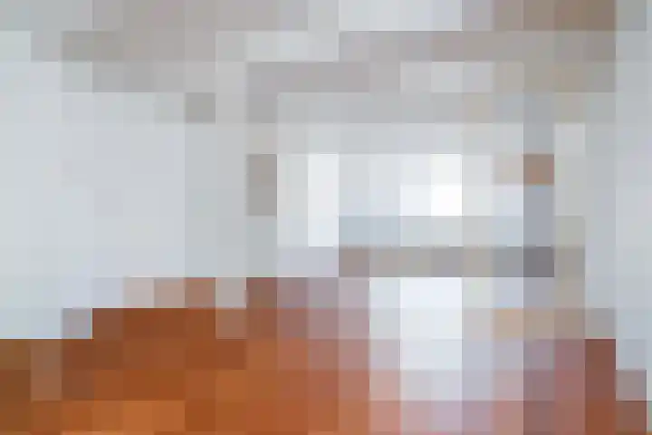 Touwslagerssteeg 6 Alkmaar thumbnail 20