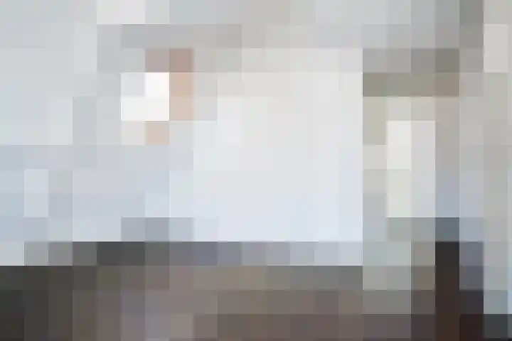 Touwslagerssteeg 6 Alkmaar thumbnail 30