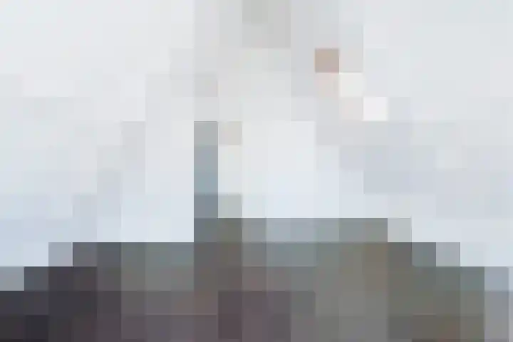 Touwslagerssteeg 6 Alkmaar thumbnail 37