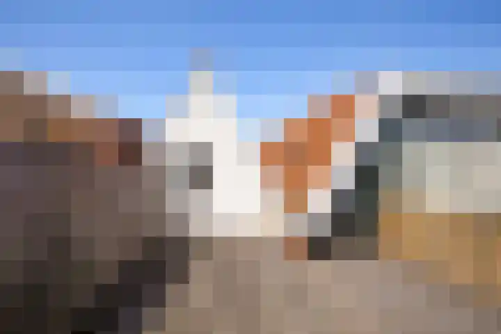 Touwslagerssteeg 6 Alkmaar thumbnail 44