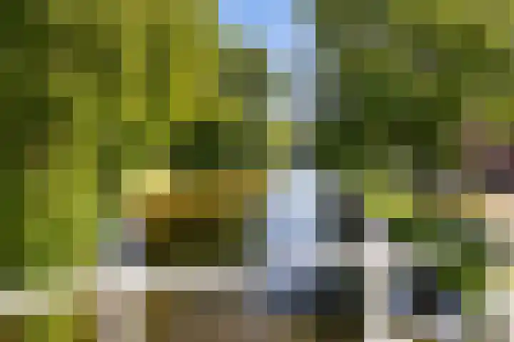 Touwslagerssteeg 6 Alkmaar thumbnail 48