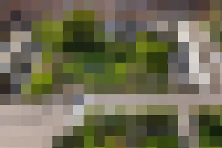 Touwslagersstraat 15 Dordrecht thumbnail 32