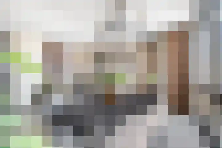 Touwslagersstraat 15 Dordrecht thumbnail 7