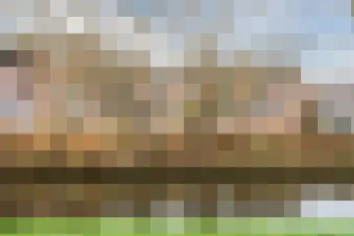 Touwslagerstraat 10 Purmerend thumbnail 33