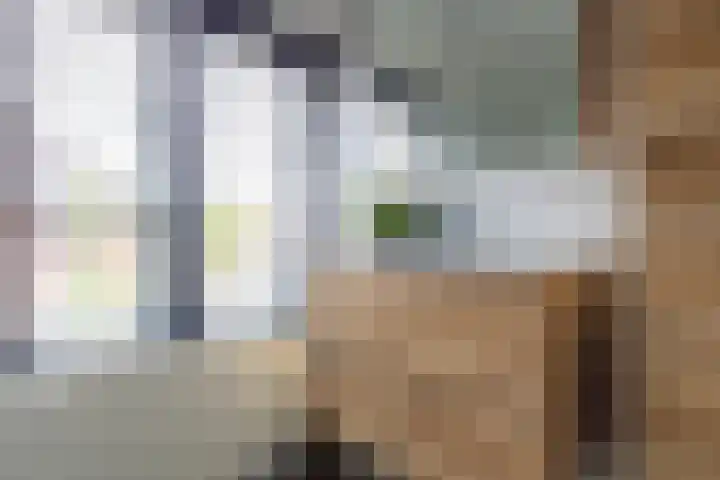 Touwslagerstraat 2 Beverwijk thumbnail 21
