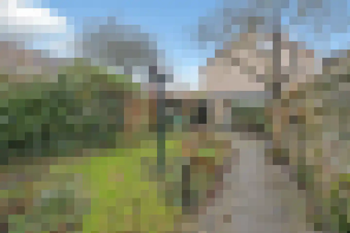 Touwslagerstraat 20 Breda thumbnail 35