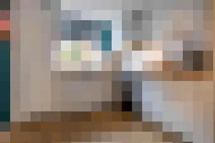 Touwslagerstraat 3 Beverwijk thumbnail 14