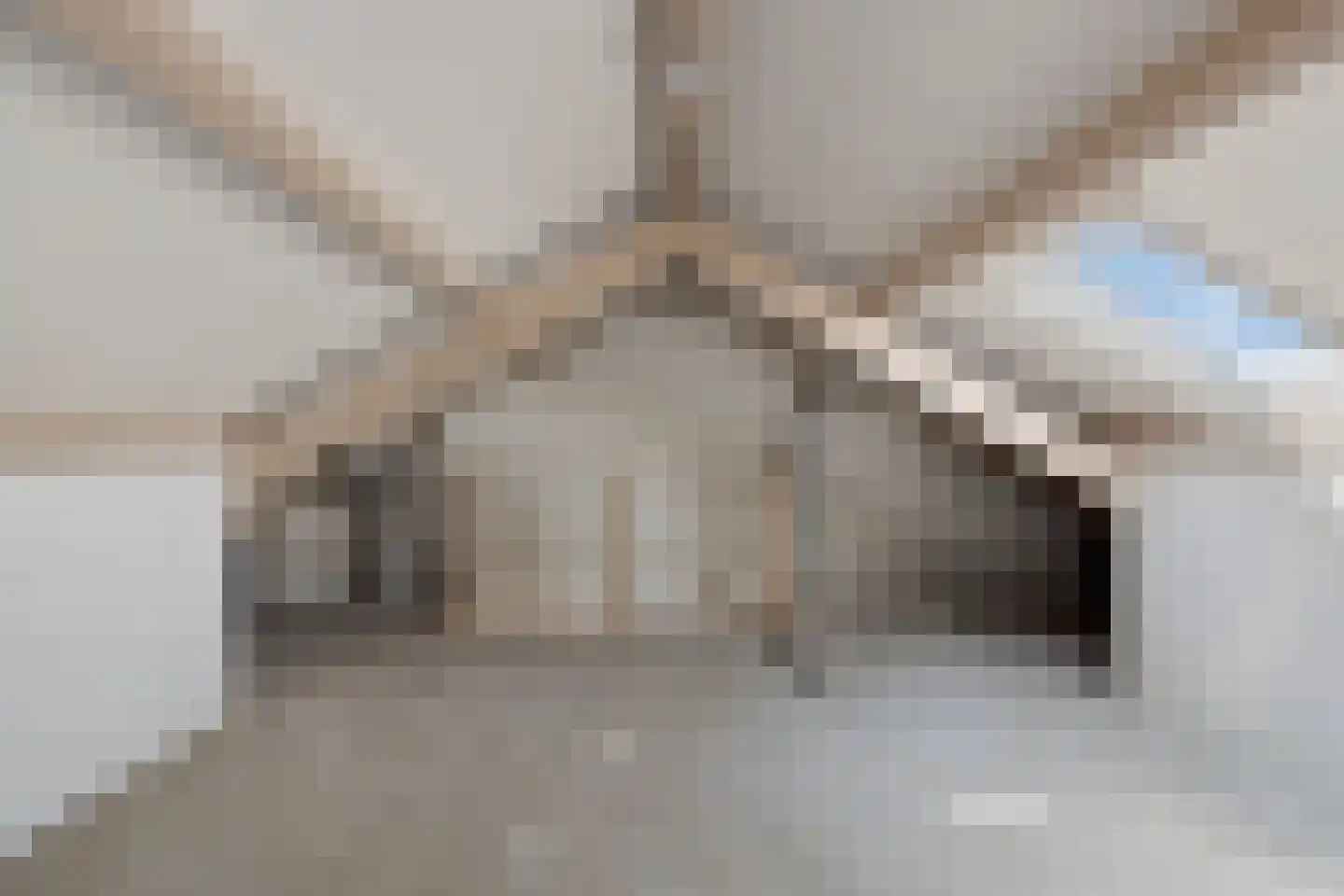 Touwslagerstraat 35 Purmerend thumbnail 25