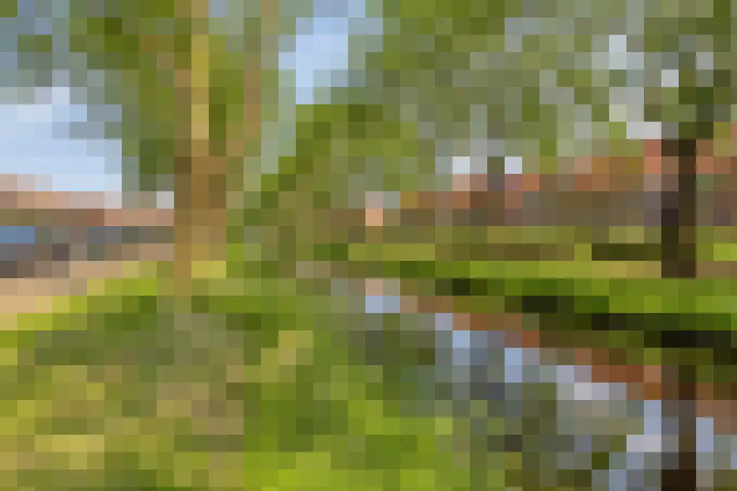 Touwslagerstraat 35 Purmerend thumbnail 31