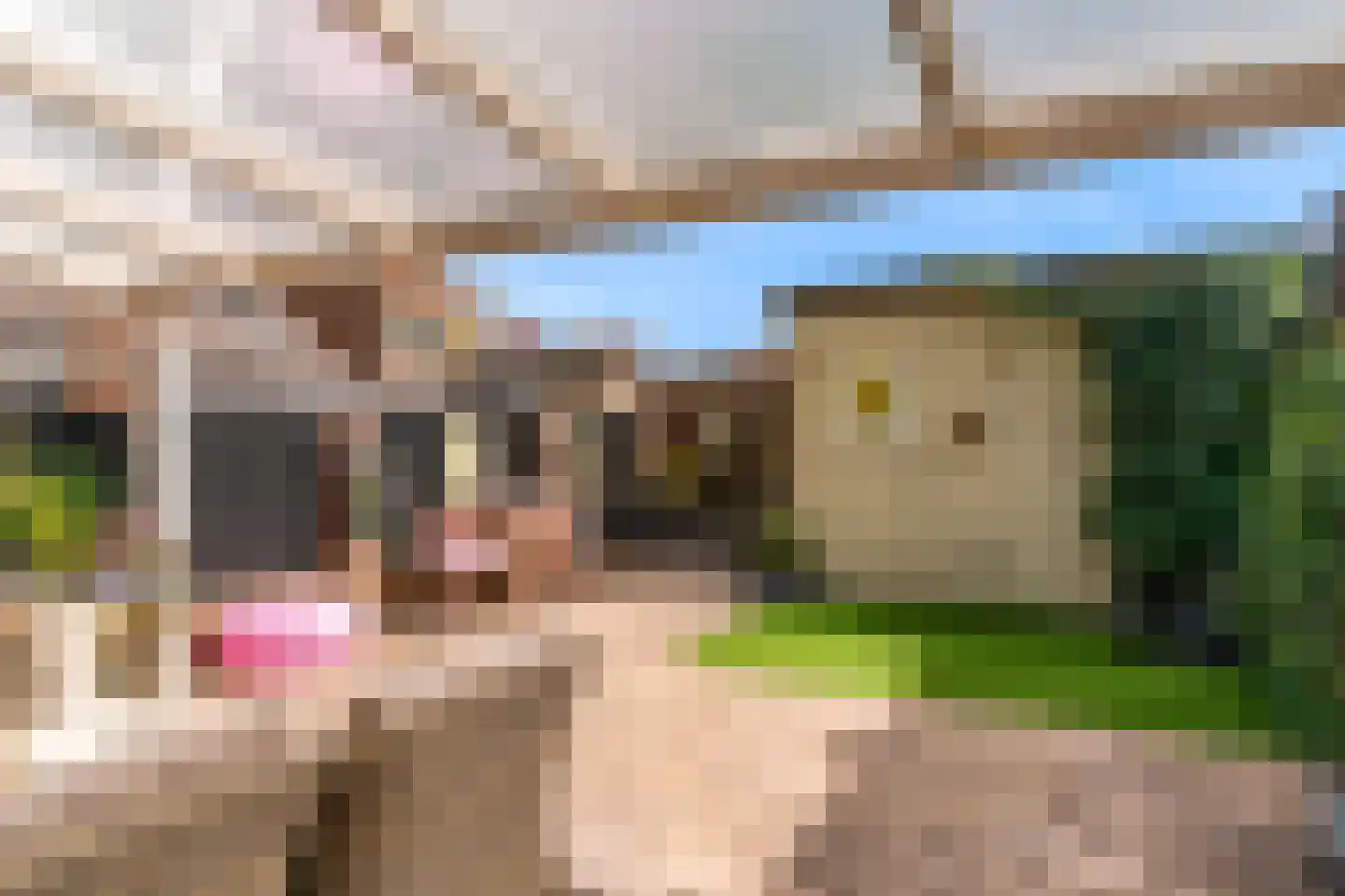 Touwslagerstraat 5 Beverwijk thumbnail 25