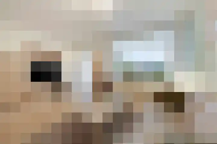 Touwslagerstraat 87 Duiven thumbnail 13