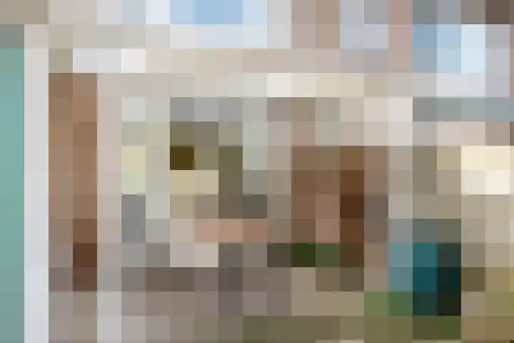 Touwslagerstraat 87 Duiven thumbnail 32